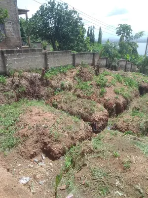 Land in New Bortianor