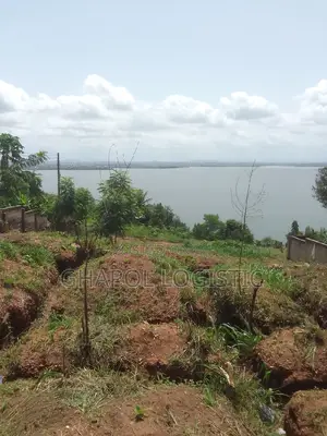 Land in New Bortianor