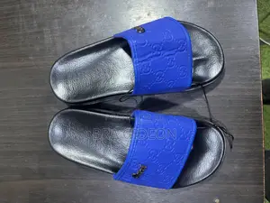 Steppers Slides