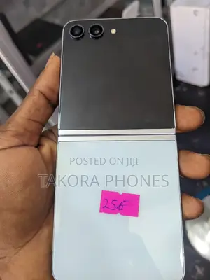 Samsung Galaxy Z Flip5 256 GB Gray