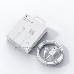 Apple Lightning to USB Cable (1m)