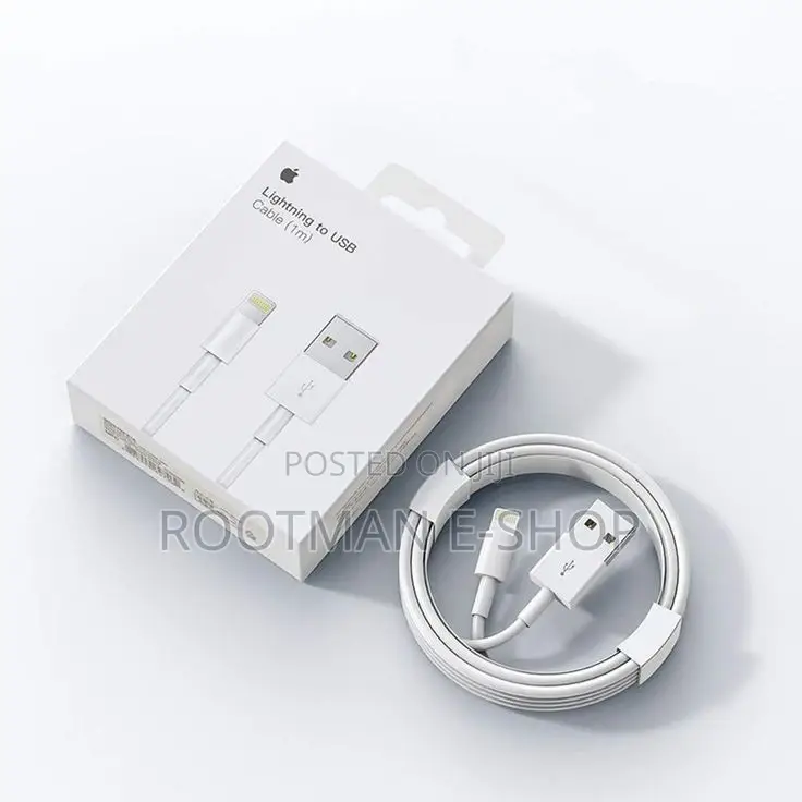 Apple Lightning to USB Cable (1m)