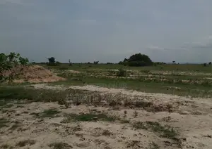 Grab a Certified Land From Us
