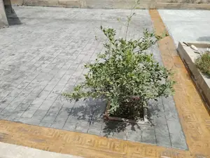 Concrete Design Imprint