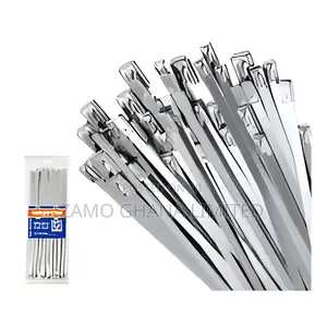 Stainless Steel Tie # Wfz30046