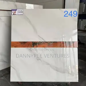 China Grade 1 Imported Wall Tiles
