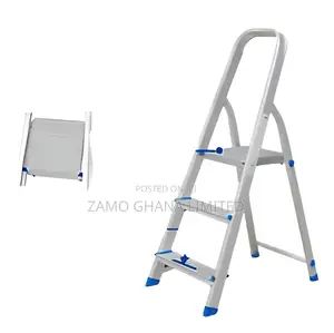 Household Ladder # Wld3h03