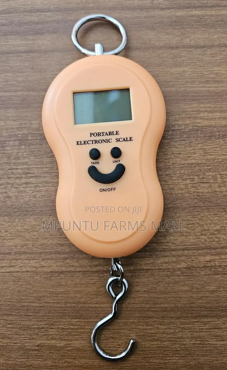 Electronic Hanging Scale
