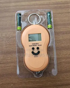 Electronic Hanging Scale