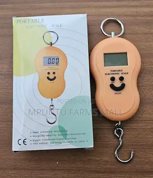 Electronic Hanging Scale