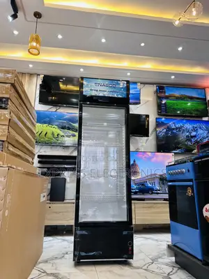 High Quality Sleek Nas360fl 288l Display Fridge Single Door