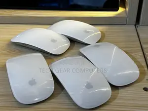 Magic Mouse 1