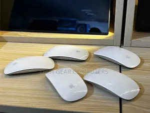 Magic Mouse 1