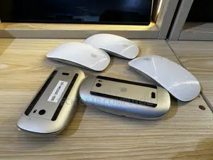 Magic Mouse 1