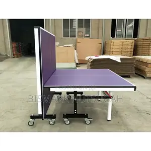 Table Tennis Court for Sale