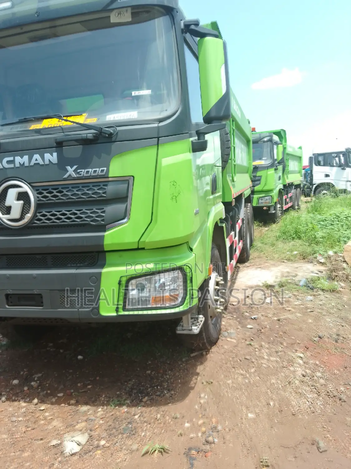 Brand New Shacman Tipper Trucks for Sale