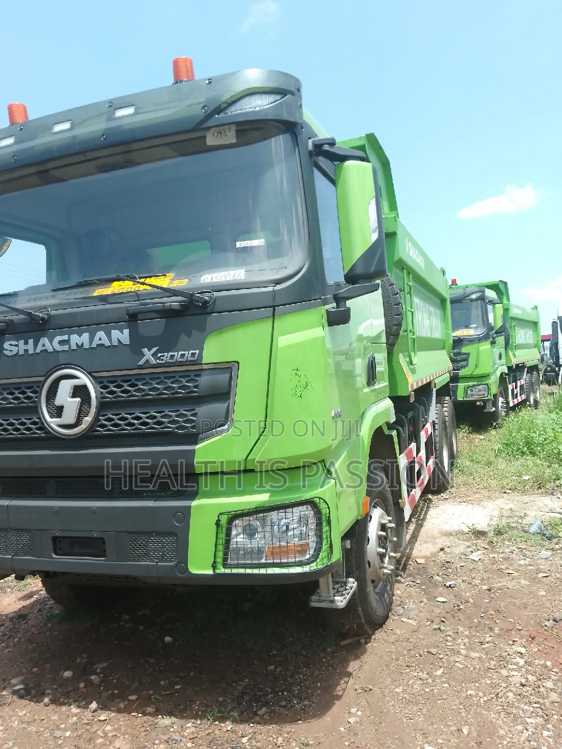 Brand New Shacman Tipper Trucks for Sale