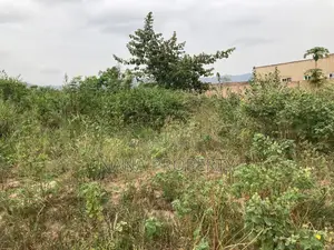 Two Plots of Land for Sale Located at Oyarifa Kuotaam Estate
