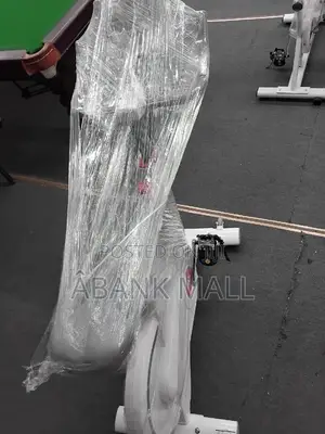 Smart Luxury Spin Bike
