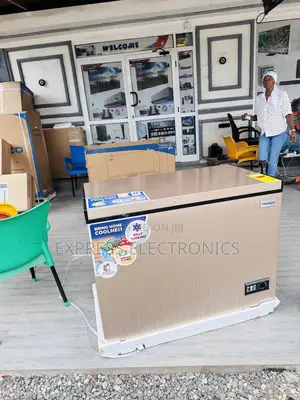 High Quality Nas400fl 288L Freezer Chest Nasco