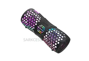 Audiio Hivolt B30L Portable Speaker: Lights, Sound,