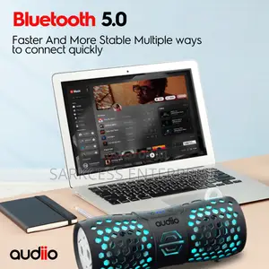 Audiio Hivolt B30L Portable Speaker: Lights, Sound,