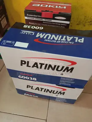 100ah Platinum Car Battery + Free Delivery