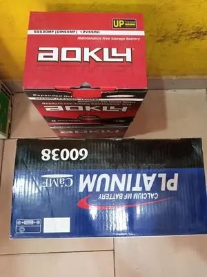 100ah Platinum Car Battery + Free Delivery