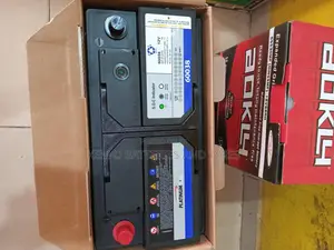 100ah Platinum Car Battery + Free Delivery