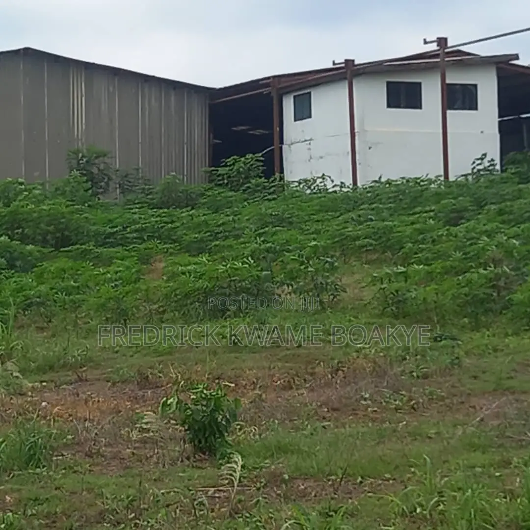 12 Acres, Lease With Sawmill for Sale at Nkawie Atwima