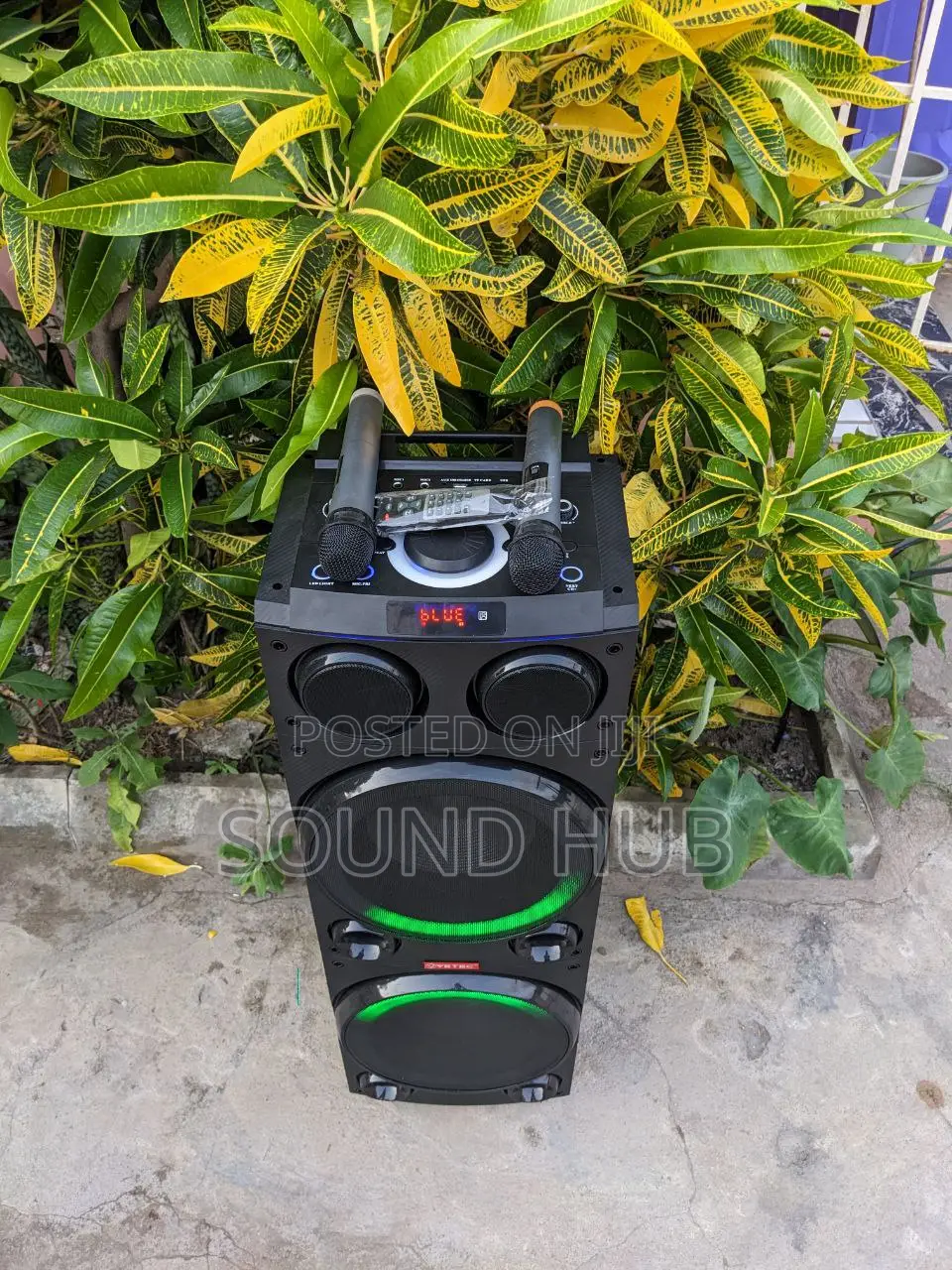 Rechargeable Professional Audio Speaker + 2mics
