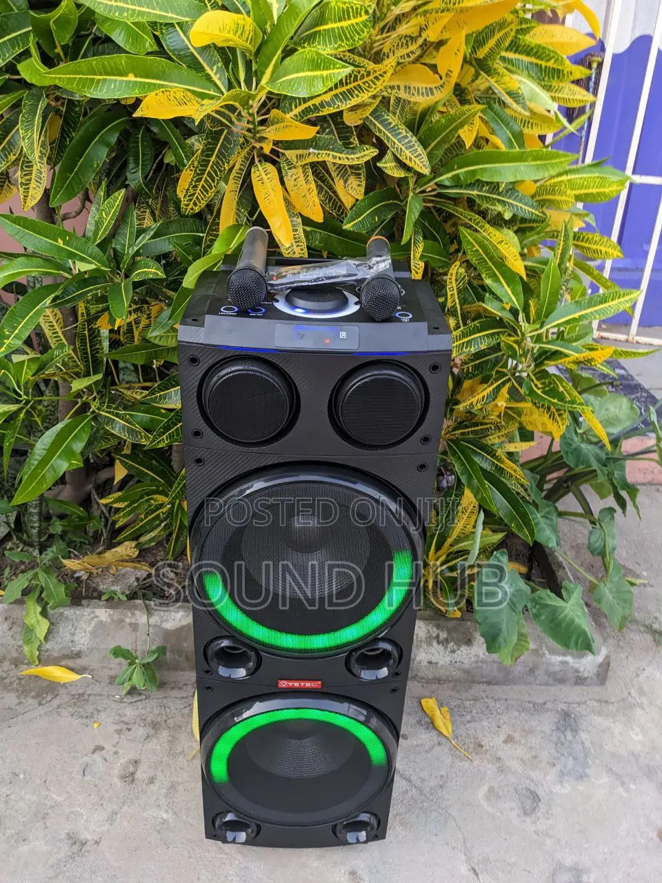 Rechargeable Professional Audio Speaker + 2mics