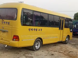 Hyundai County 2013 Yellow