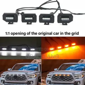 This Is Original Toyota Tacoma Front Girll With Eagle Eyes