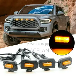 This Is Original Toyota Tacoma Front Girll With Eagle Eyes