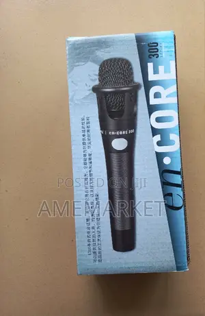 E300 Condenser Microphone for Live Program Studio Recording