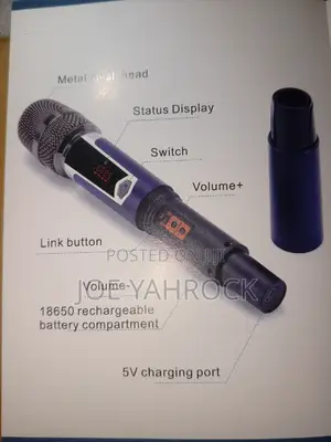 Original 2 in 1 Chargeable Wireless/Cordless Mics