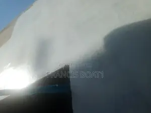 Professional for Andrei, Skimming and Graffiato of Walls