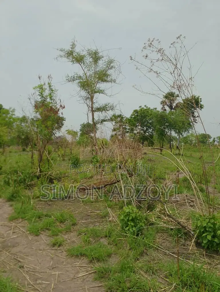 70,000 Acres of Farm Land for Long Term Lease