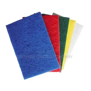 Ramon Standard Grade Scouring Pad ( 1 X 10)