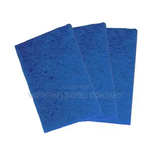 Ramon Standard Grade Scouring Pad ( 1 X 10)