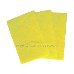 Ramon Standard Grade Scouring Pad ( 1 X 10)