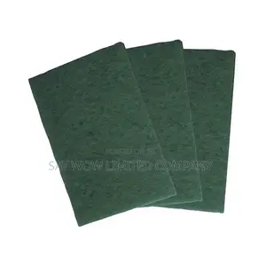 Ramon Standard Grade Scouring Pad ( 1 X 10)