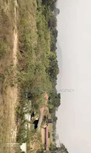 12 Acres of Land at Ayi Mensah