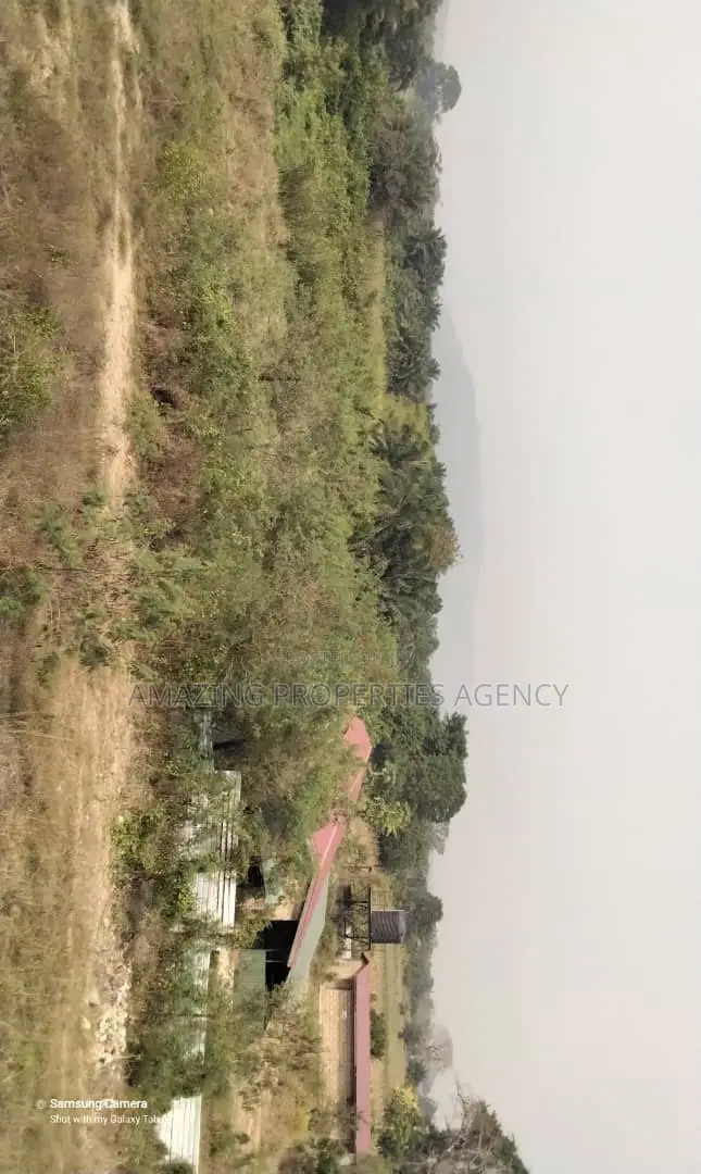 12 Acres of Land at Ayi Mensah