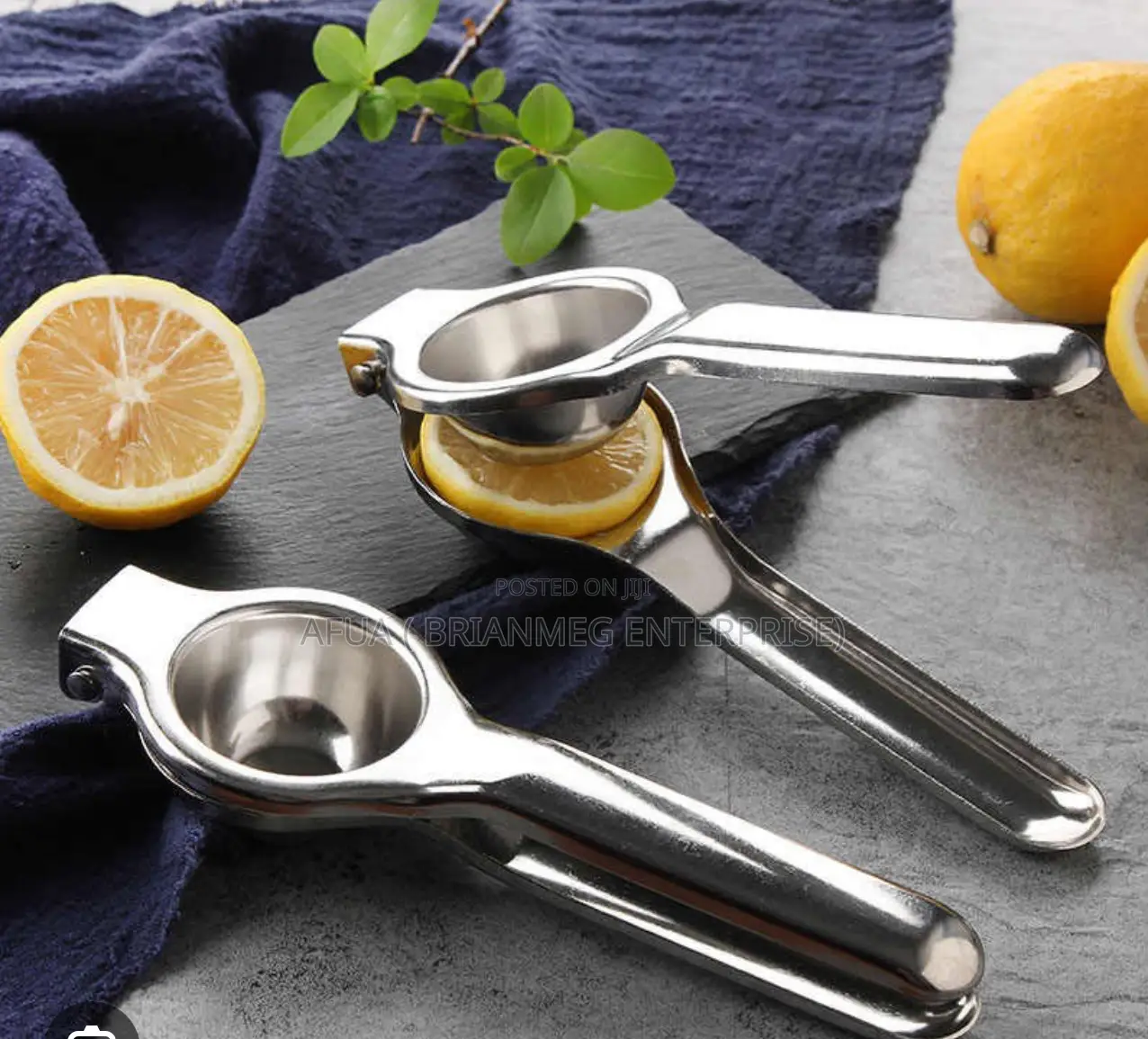Manual Lemon Squeezer