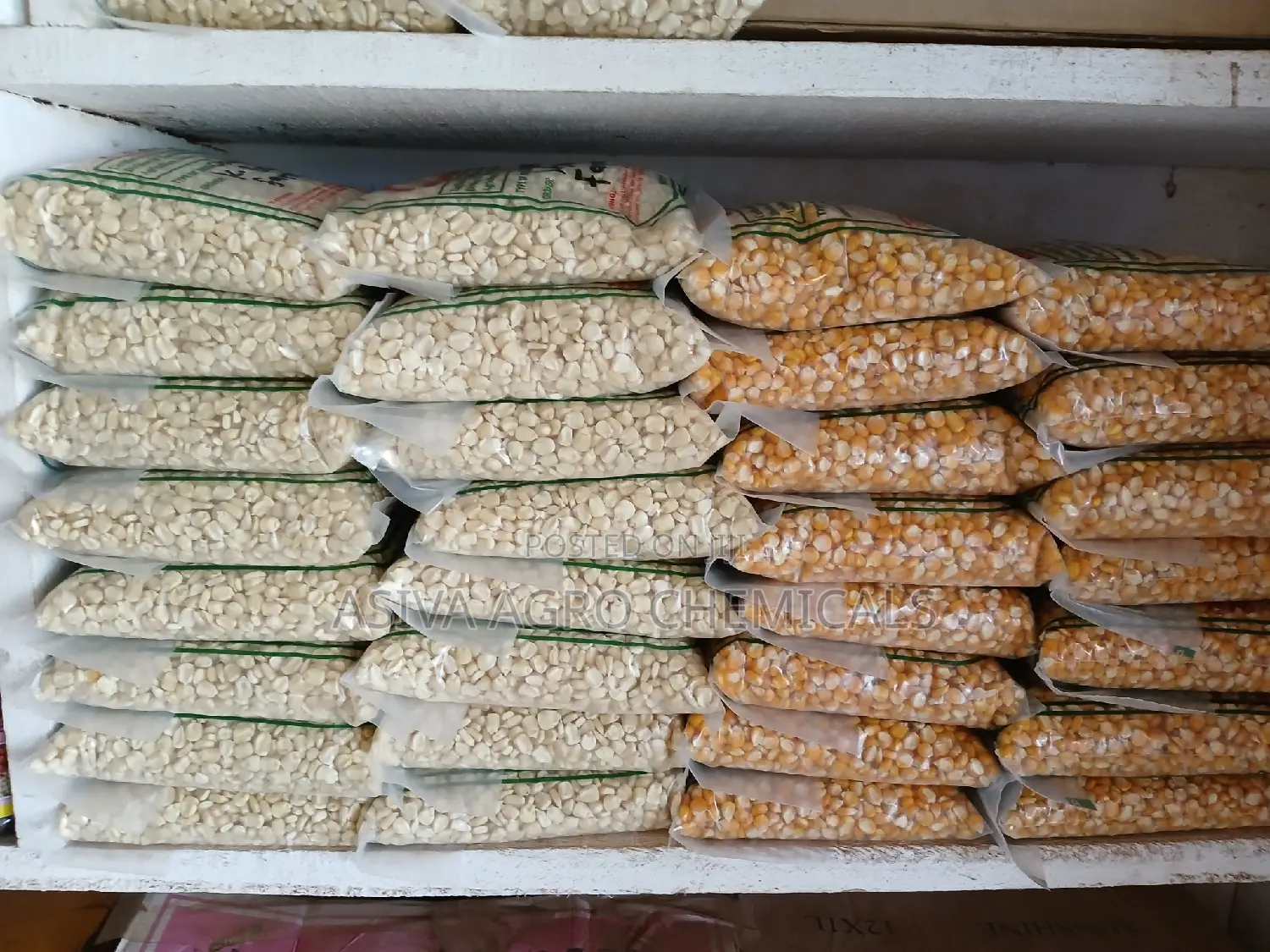 Certified Planting Maize Seeds (Obatanpa, Honampa)