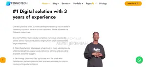 Website Developer