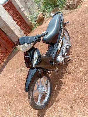 Luojia LJ110-10 2019