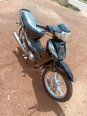 Luojia LJ110-10 2019